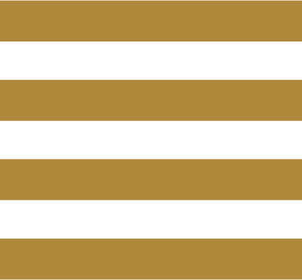 Asset-3